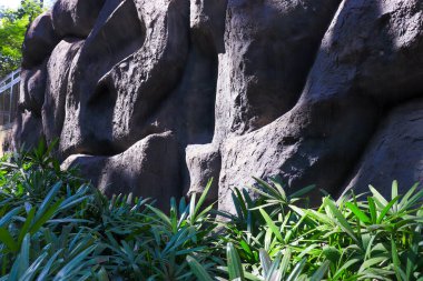 Taşların dokusu ve arkaplanı. Pandan yapraklı kaya dokusu