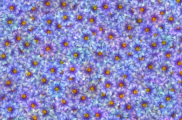A pattern of blue and purple flowers