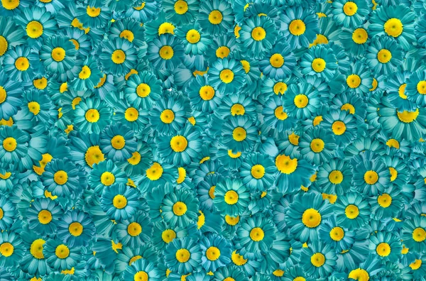 A blue and yellow flower pattern with a yellow center
