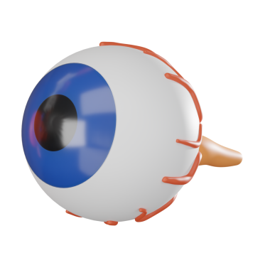 Detaylı anatomi gösteren üç boyutlu bir göz. Tıp eğitimi, görsel sağlık çalışmaları ve sağlık projeleri için ideal.