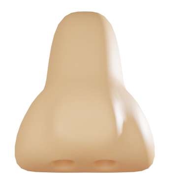 Eğitimsel materyaller ve sağlık uzmanları için insan burnunun 3 boyutlu çizimi. Anatomi, burun sağlığı ve solunum sistemi fonksiyonları öğretmek için ideal.