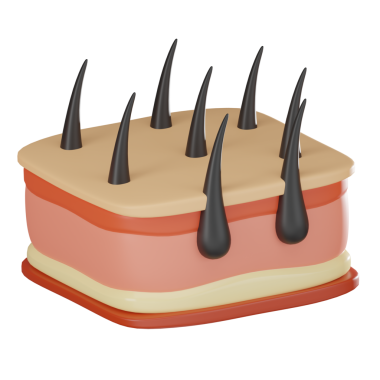 Deri ve saç yapılarının 3 boyutlu çizimi katmanlar ve foliküller sergiliyor, tıp eğitimi, dermatoloji araştırmaları ve kozmetik bilimi görselleri için mükemmel..