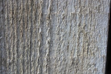 Gri, yaşlı, güzel, köhne ahşap arka plan, doğal ahşap, kereste.