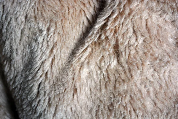 天然ウール 高価な天然毛皮の形で作られた合成茶色の素材 異常なベージュ 肉色の毛皮の背景 — ストック写真