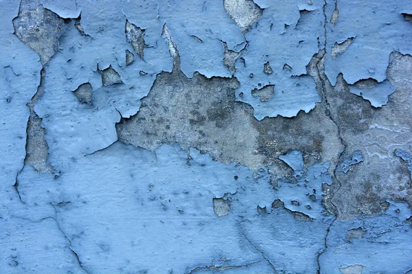 The gray flat concrete wall painted long ago with blue, light blue paint has already cracked, deep cracks on the wall are visible and it has peeled off in a long time.