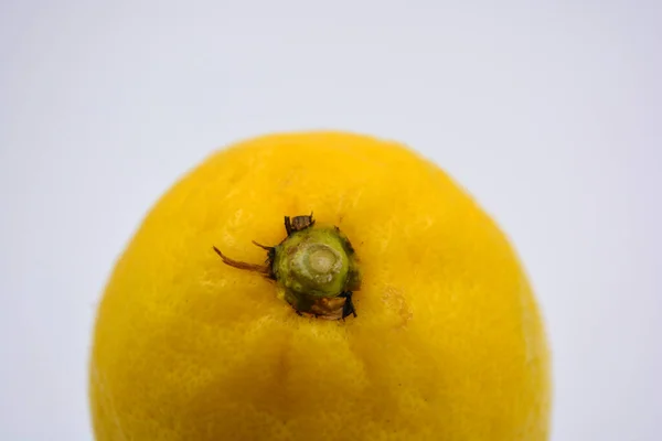 Pyszne Zdrowe Dojrzałe Owoce Jedna Duża Żółta Cytryna Ułożona Białym — Zdjęcie stockowe