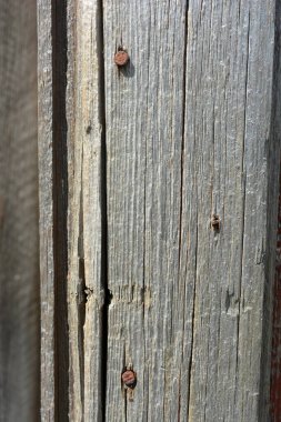 Sıra dışı eski ahşap, eski soyulan ahşap tahtalar, eski paslı çiviler ve çatlaklarla dokulu ilginç bir yapı..