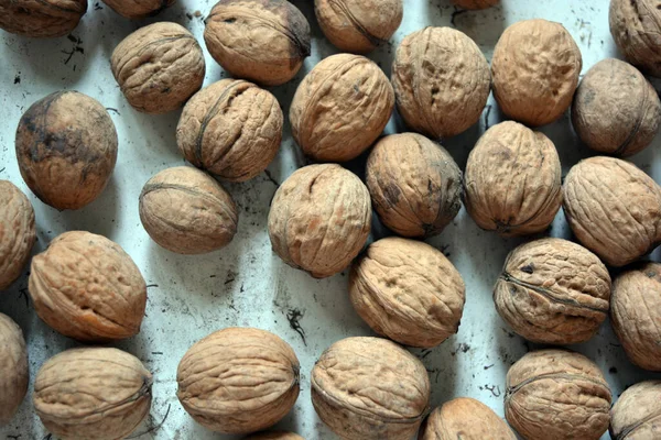 Beautiful brown natural walnuts randomly arranged on white metallic background.