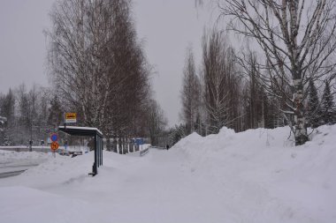 Varkaus, Finlandiya 'nın Kuzey Savonia eyaletinde yer alan bir şehirdir. Evler, yollar, binalar, yapılar, ağaçlar, ormanlar, köknar ağaçları, beyaz karla kaplı çayırlar.