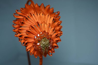 Kadınların ilginç saç süslemeleri, şenlikli bakışları. Turuncu parlak kurdeleden yapılmış, beyaz arka planda şık dekorasyonlu güzel kumaştan bir çember..