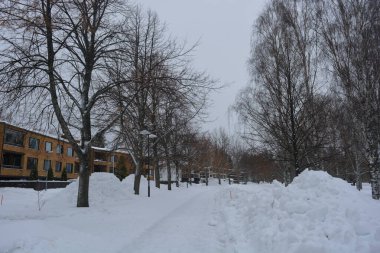 Ağaçlarla, köknar ağaçlarıyla, park alanıyla, yürüyüş yollarıyla güzel kış doğası. Finlandiya 'nın Varkaus kentinde büyük bir göl yakınında her yer beyaz karla kaplıdır..
