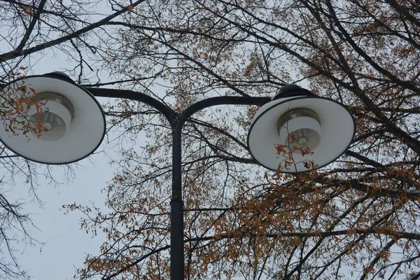 Street floodlights, street lighting, large and stylish lamps are located in the park area of Varkaus, Finland.