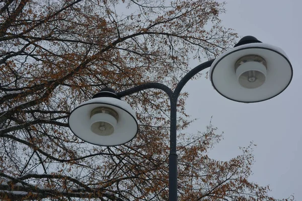 Street floodlights, street lighting, large and stylish lamps are located in the park area of Varkaus, Finland.