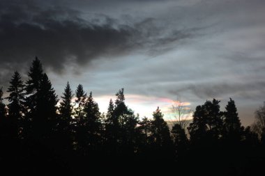 Finlandiya 'nın güzel sıradışı kış doğası, Varkaus şehri. Kuzey Işıkları 'nın yankısı. Gökkuşağının çok renkli renkleri. Koyu gri gökyüzünde..