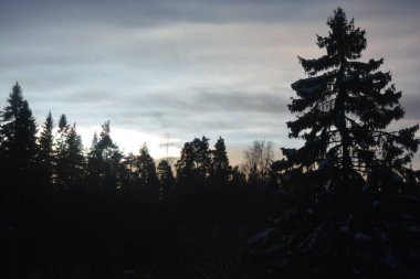 Finlandiya 'nın güzel sıradışı kış doğası, Varkaus şehri. Kuzey Işıkları 'nın yankısı. Gökkuşağının çok renkli renkleri. Koyu gri gökyüzünde..