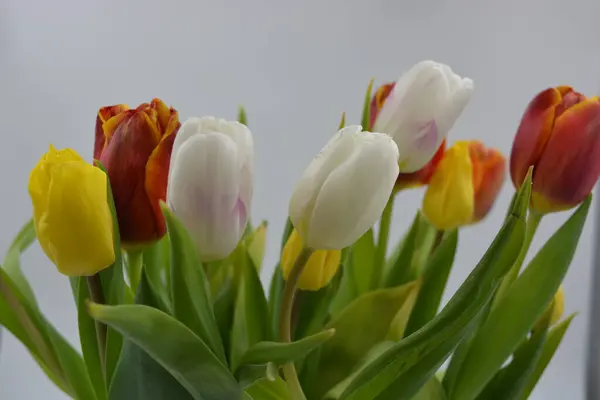 Святковий Букет Квітів Весняних Яскравих Квітів Розташованих Склянці Склад Червоних — стокове фото