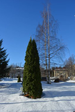 Finlandiya 'nın küçük Varkaus kasabasında güzel ve aydınlık bir kış havası vardır. Bir sürü beyaz kar, büyük yeşil köknar ağaçları, eşkıyalar, beyaz huş ağaçları, kaldırımlar ve parlak bir kış gökyüzünün arka planına karşı evler.