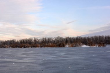 Güzel ve alışılmadık kış doğası, donmuş ve kalın buzla kaplı Dnipro nehri beyaz kar, ağaçlar, kuru altın buzlar..