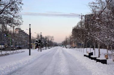 Güzel ve renkli kış havası, ağaçlar, yeşil köknar ağaçları ve çalılar beyaz karda duruyor. Dnipro Nehri yakınlarındaki güzel ve hoş bir park, Dnipro, Ukrayna şehri..