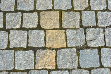 İnşaat, malzeme ve inşaat malzemeleri. Güzel taşlar, gri kaldırım taşları, yere serilmiş gri taşlar, taşlı taş..