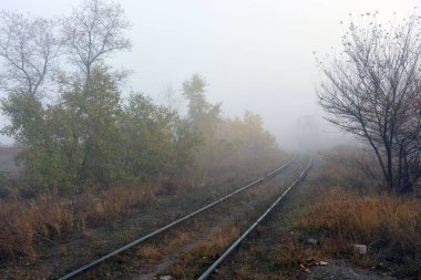 Sonbahar doğasını, ağaçları, çalıları ve sarı-kahverengi otları yoğun bir sis kapladı. Demiryolu boyunca kum yolları, metal demiryolları..