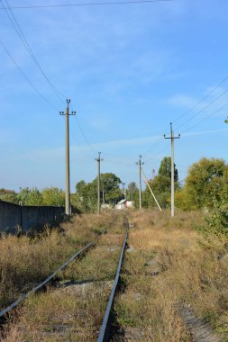Güzel, parlak Ukrayna doğası. Mavi güzel gökyüzü, doymuş yeşil ağaçlar, gri çimento çitleri ve yolları olan kuru otlarla dolu bozkır..