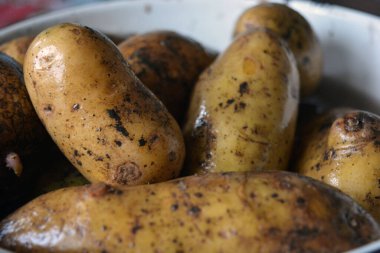 Yemek, yemek, sağlıklı sebzeler ve meyveler. Güzel, temiz, yıkanmış patatesler mutfakta ayak parmağında yatıyor..