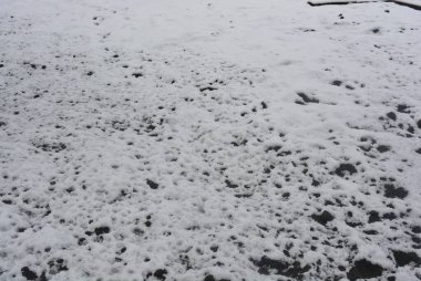Kış, parlak manzara. Kara toprak, erimiş beyaz kar ve buzla kaplı bir sebze bahçesi..