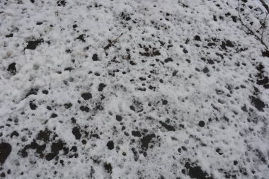 Kış, parlak manzara. Kara toprak, erimiş beyaz kar ve buzla kaplı bir sebze bahçesi..