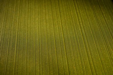 Yeşil desenli ve yapısal arka plan, parlak ve alışılmadık pürüzler, küçük ve geniş çizgiler..