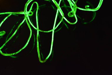 Güzel, parlak yeşil, kireç telleri, kabloyu yenmiş, siyah plastik arka planda kaotik bir şekilde bükülmüş. Elektroaydınlatma kablosu, neon tüpleri, plastiğin içindeki ışık, kablolar, aydınlatma, yaratıcı.