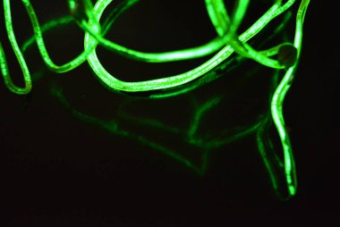 Güzel, parlak yeşil, kireç telleri, kabloyu yenmiş, siyah plastik arka planda kaotik bir şekilde bükülmüş. Elektroaydınlatma kablosu, neon tüpleri, plastiğin içindeki ışık, kablolar, aydınlatma, yaratıcı.