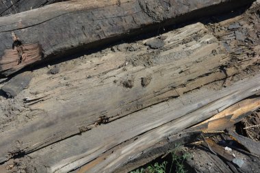 Şeyler, kahverengi ve siyah, yanmış ahşap, demiryolu raylarından kırık uykucular, eski tahta tahtalar, yerde yatanlar, gıcırtı.