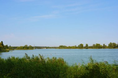 Sahilin alışılmadık ve güzel doğası, Samara Nehri körfezi. Yeşil sazlar, ağaçlar, çalılar, Dnipro, Ukrayna 'da beyaz kum..