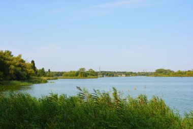 Sahilin alışılmadık ve güzel doğası, Samara Nehri körfezi. Yeşil sazlar, ağaçlar, çalılar, Dnipro, Ukrayna 'da beyaz kum..