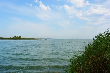Sahilin alışılmadık ve güzel doğası, Samara Nehri körfezi. Yeşil sazlar, ağaçlar, çalılar, Dnipro, Ukrayna 'da beyaz kum..