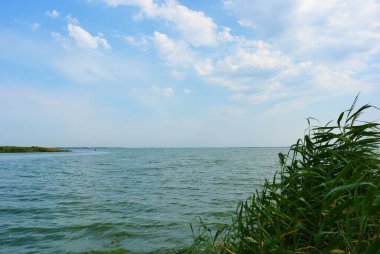 Sahilin alışılmadık ve güzel doğası, Samara Nehri körfezi. Yeşil sazlar, ağaçlar, çalılar, Dnipro, Ukrayna 'da beyaz kum..