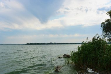 Sahilin alışılmadık ve güzel doğası, Samara Nehri körfezi. Yeşil sazlar, ağaçlar, çalılar, Dnipro, Ukrayna 'da beyaz kum..