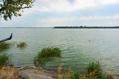 Sahilin alışılmadık ve güzel doğası, Samara Nehri körfezi. Yeşil sazlar, ağaçlar, çalılar, Dnipro, Ukrayna 'da beyaz kum..