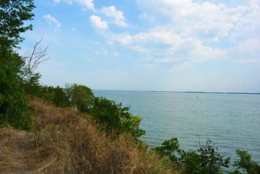 Sahilin alışılmadık ve güzel doğası, Samara Nehri körfezi. Yeşil sazlar, ağaçlar, çalılar, Dnipro, Ukrayna 'da beyaz kum..