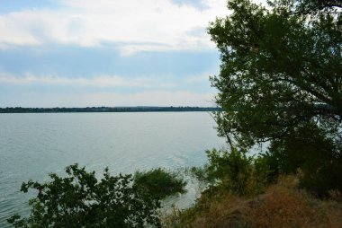 Sahilin alışılmadık ve güzel doğası, Samara Nehri körfezi. Yeşil sazlar, ağaçlar, çalılar, Dnipro, Ukrayna 'da beyaz kum..