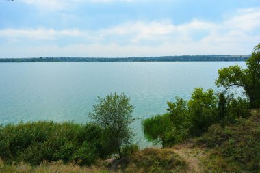 Sahilin alışılmadık ve güzel doğası, Samara Nehri körfezi. Yeşil sazlar, ağaçlar, çalılar, Dnipro, Ukrayna 'da beyaz kum..