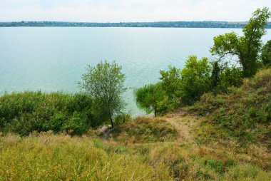 Sahilin alışılmadık ve güzel doğası, Samara Nehri körfezi. Yeşil sazlar, ağaçlar, çalılar, Dnipro, Ukrayna 'da beyaz kum..