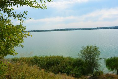 Sahilin alışılmadık ve güzel doğası, Samara Nehri körfezi. Yeşil sazlar, ağaçlar, çalılar, Dnipro, Ukrayna 'da beyaz kum..