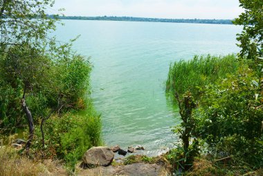 Sahilin alışılmadık ve güzel doğası, Samara Nehri körfezi. Yeşil sazlar, ağaçlar, çalılar, Dnipro, Ukrayna 'da beyaz kum..