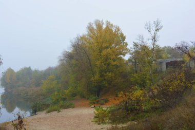 Sonbahar doğası, ağaçlarda sarı yapraklar, parlak yeşil ve sarı ağaçlar, güzel manzaralı sokaklar..