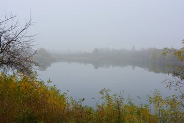 Güzel ve parlak sonbahar havası, güzel sarı ve yeşil ağaçlar, Dripro, Ukrayna 'da sisli güzel bir göl kenarında büyüyor..