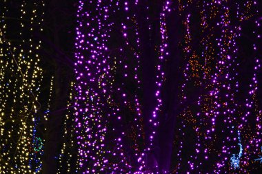 Yılbaşından ve Noel tatilinden önce dekore edilmiş bir gece şehri. Ukrayna 'nın Dnipro şehrinde güzel bir Noel dekoruyla yılbaşı havasında güzel bir aydınlanma..