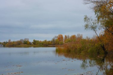 Sonbahar doğası, ağaçlarla güzel doğa, Dnipro nehrinin kıyısı. Güzel nehir kıyısı, yaprak döken yeşil, sarı, turuncu, kırmızı ağaçlar Kamianske şehrinde, Dniprodzerzhyns 'k Ukrayna.