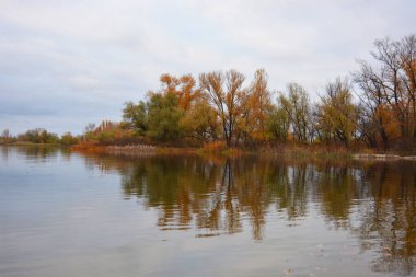 Sonbahar doğası, ağaçlarla güzel doğa, Dnipro nehrinin kıyısı. Güzel nehir kıyısı, yaprak döken yeşil, sarı, turuncu, kırmızı ağaçlar Kamianske şehrinde, Dniprodzerzhyns 'k Ukrayna.